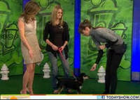 https://wellnesspetfood.com.au/wp-content/uploads/2014/07/today-show-feb-2011-1.jpg