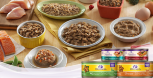 Wet Cat Food Australia