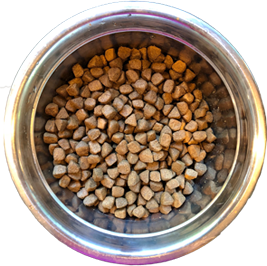 bowl two of dog food showing low diversity