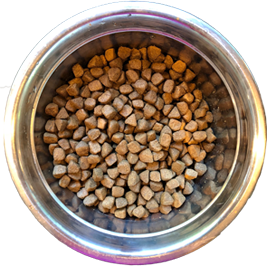 bowl three of dog food showing low diversity