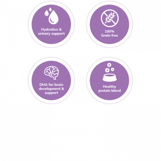 wellness core kitten pate