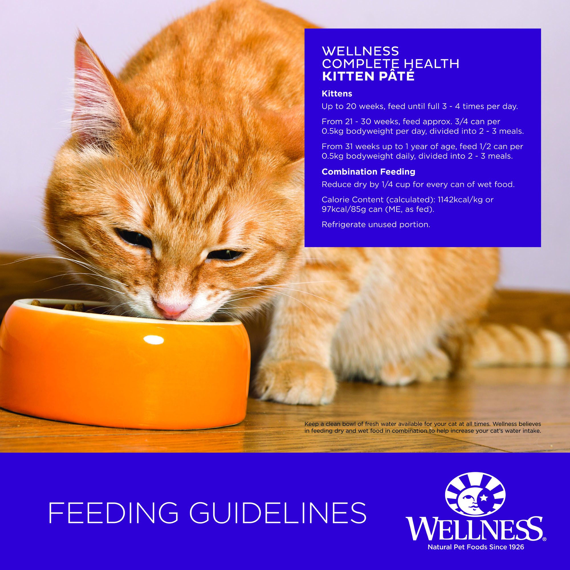 Wellness Complete Health Pâté for Kittens Chicken Entreé Smooth Loaf