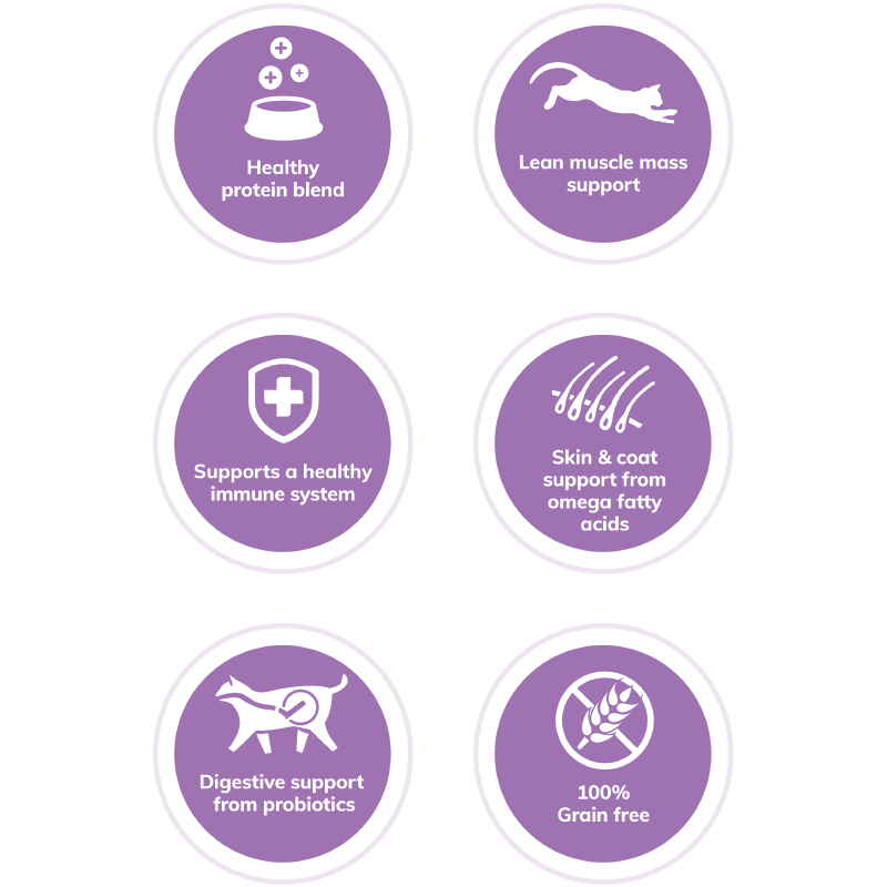 wellness core indoor