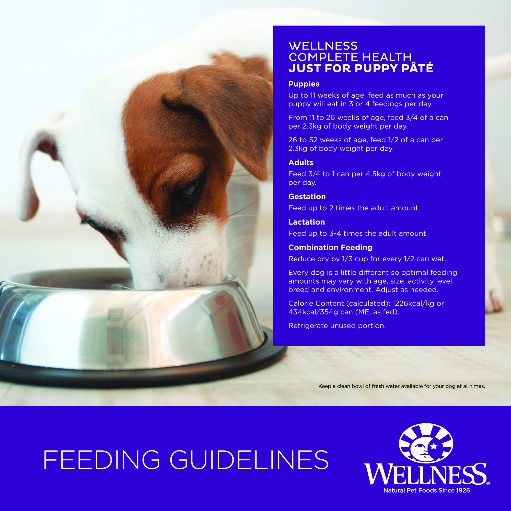 Wellness Complete Health Pate for Dogs Just for Puppy Wellness Australia