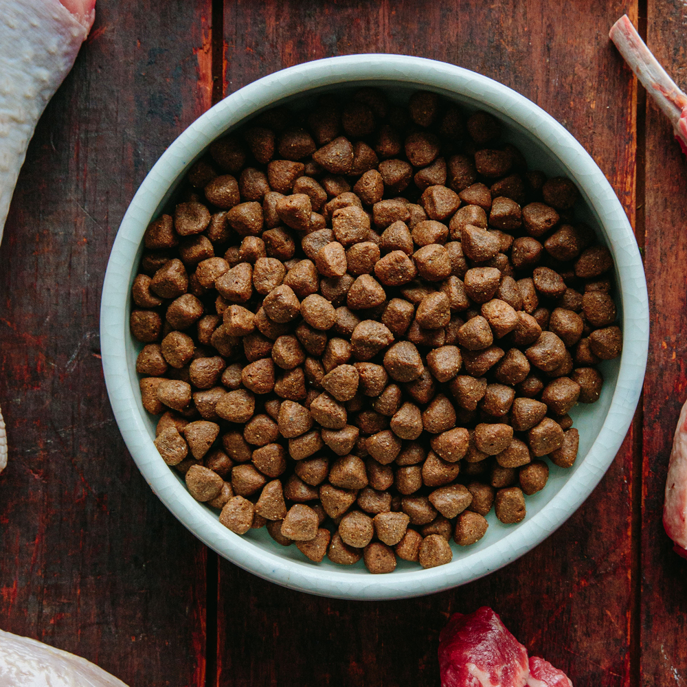 Wellness CORE Wholesome Grains Ocean Formula for Dogs Whitefish