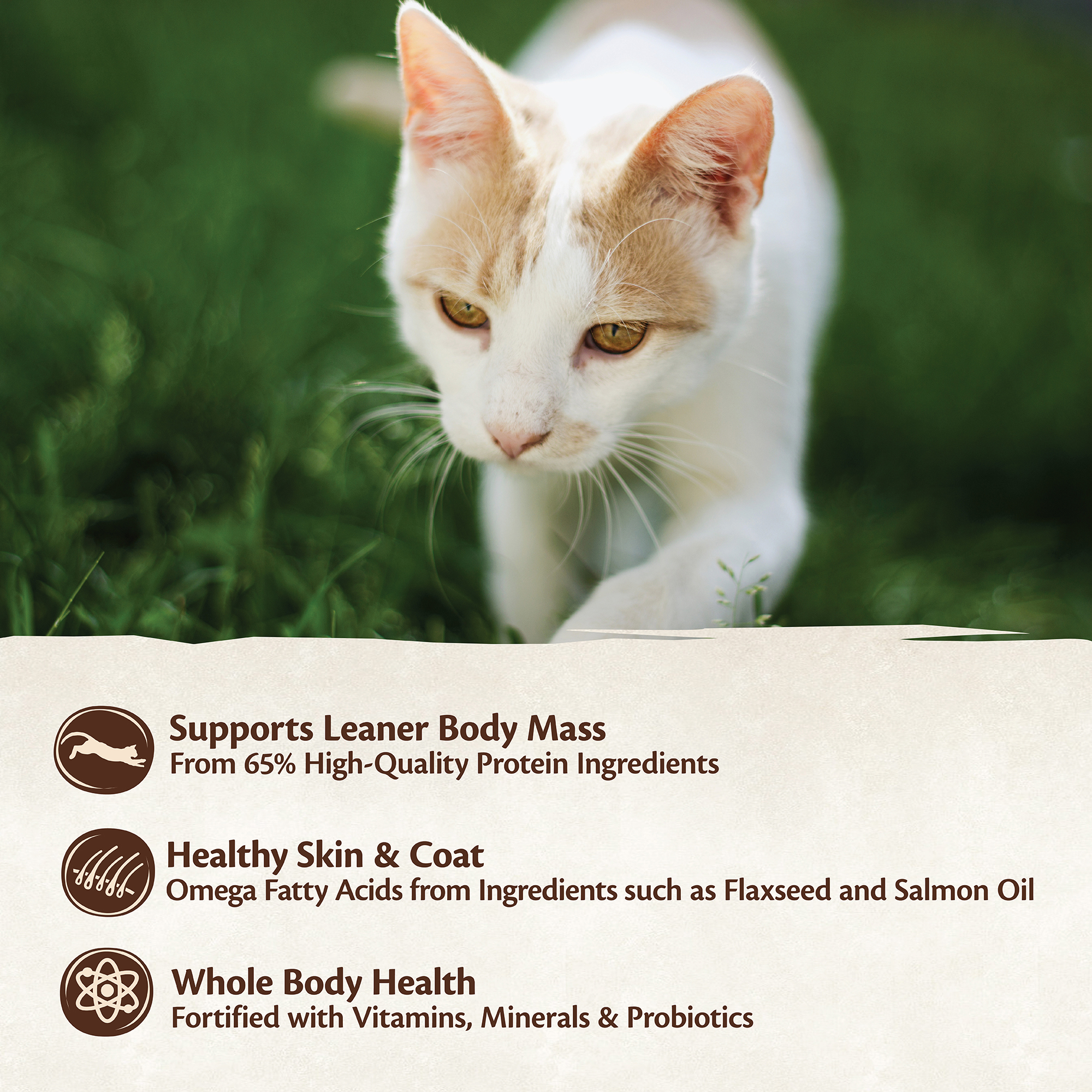 wellness weight control cat food