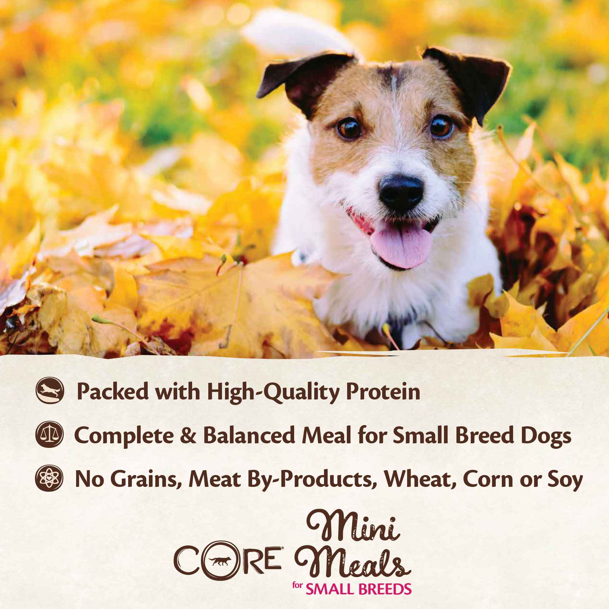 Wellness CORE Small Breed Mini Meals for Dogs: Shredded Variety Pack ...