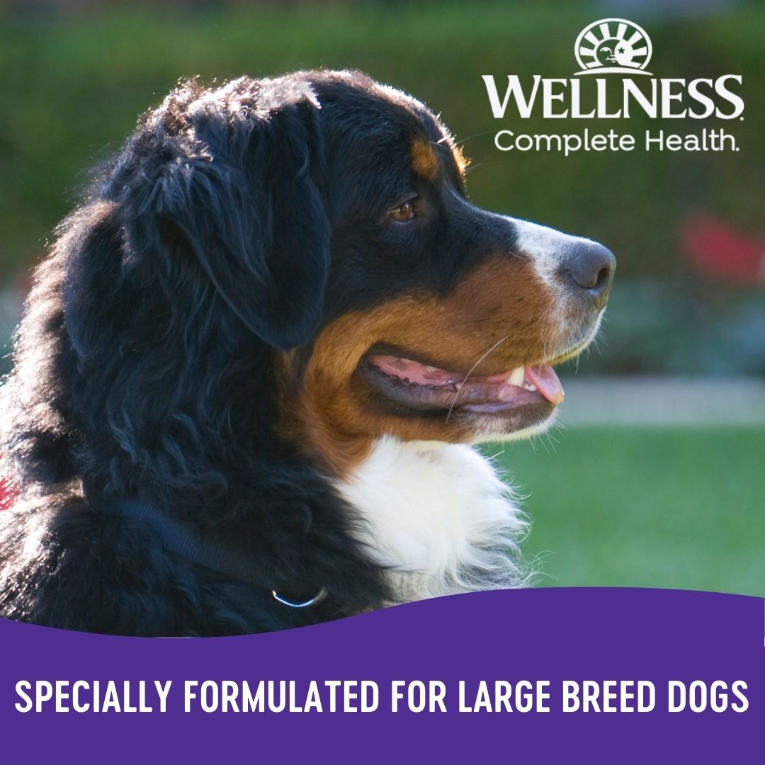 wellness complete health large breed adult