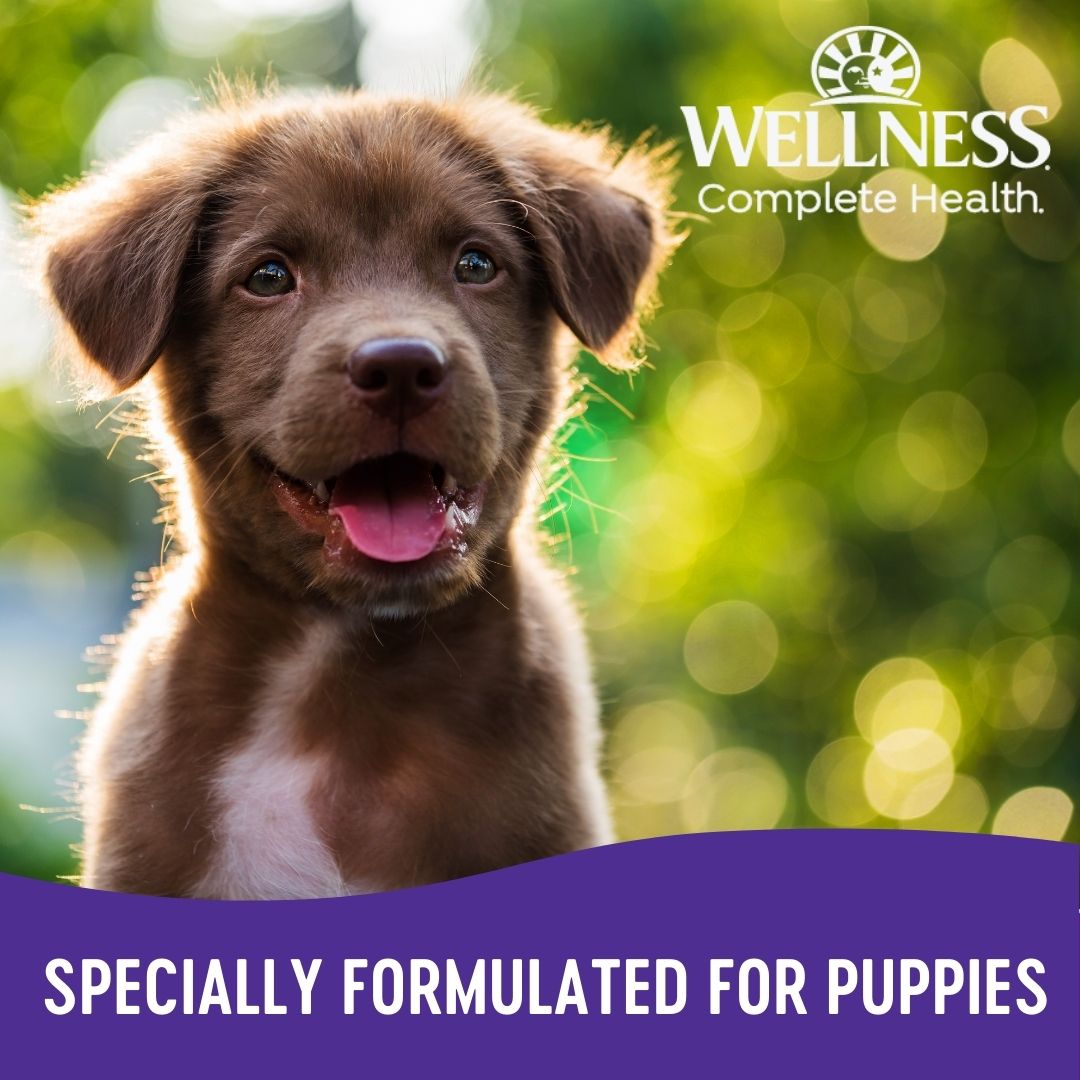 wellness complete health puppy grain free