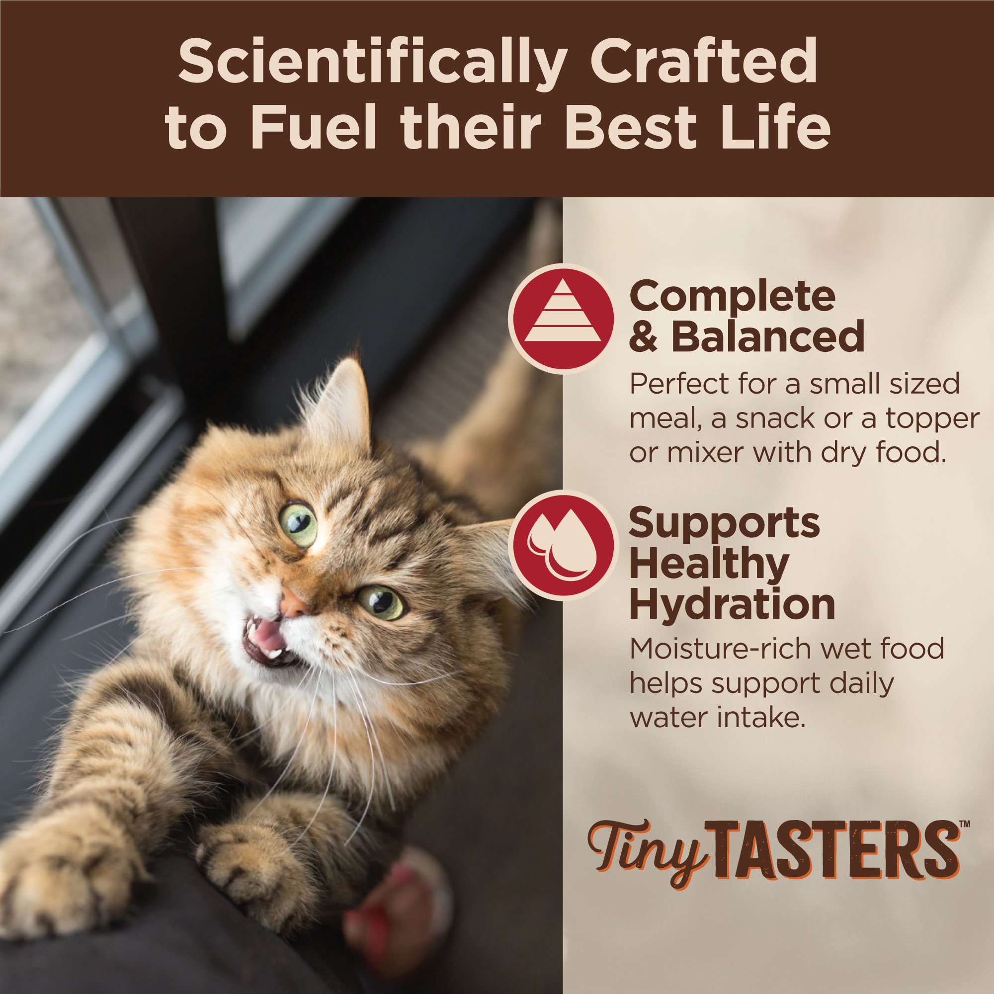 Wellness CORE Tiny Tasters for Cats Minced Chicken & Beef