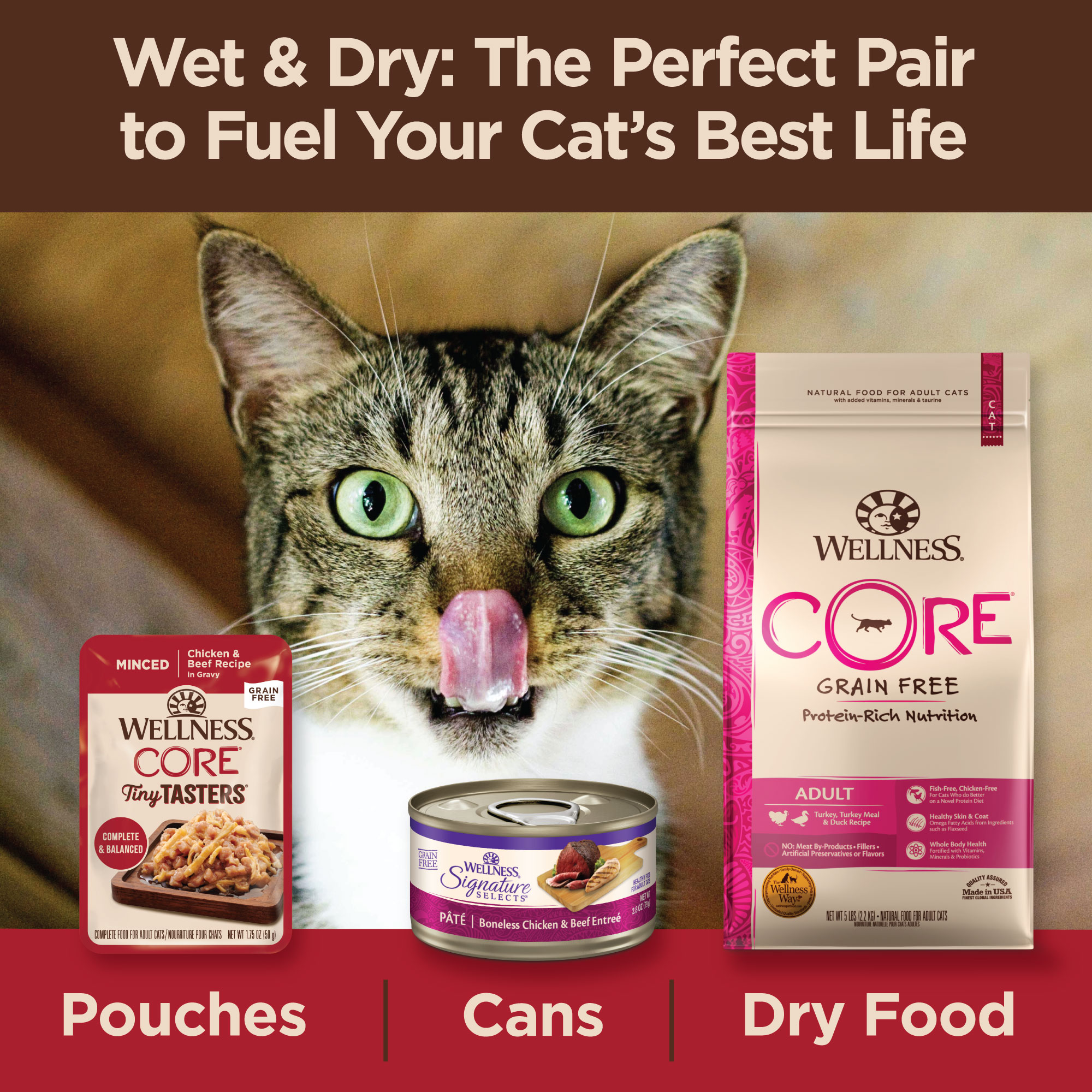 Wellness CORE Tiny Tasters for Cats Minced Chicken & Beef