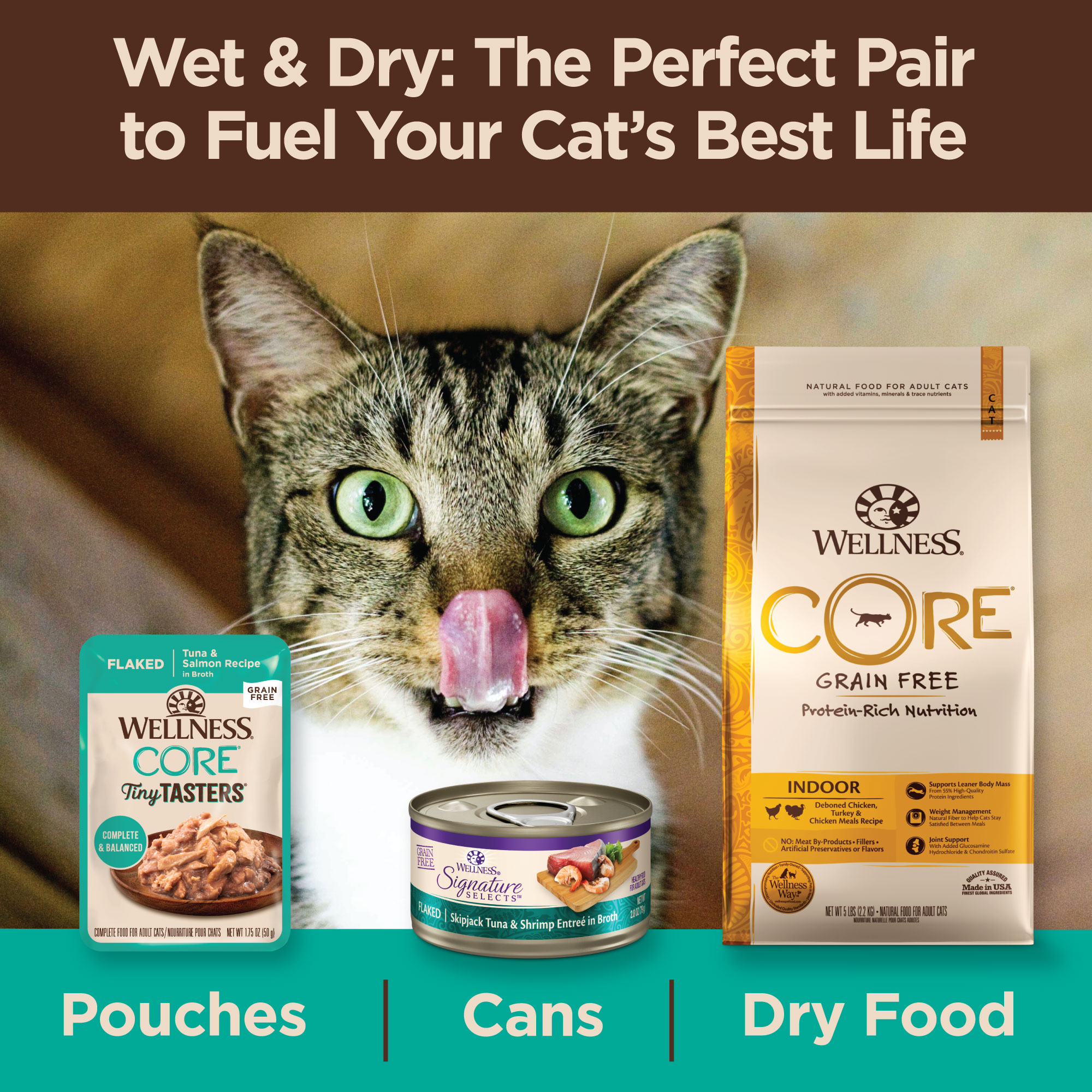 Wellness CORE Tiny Tasters for Cats Flaked Tuna & Salmon