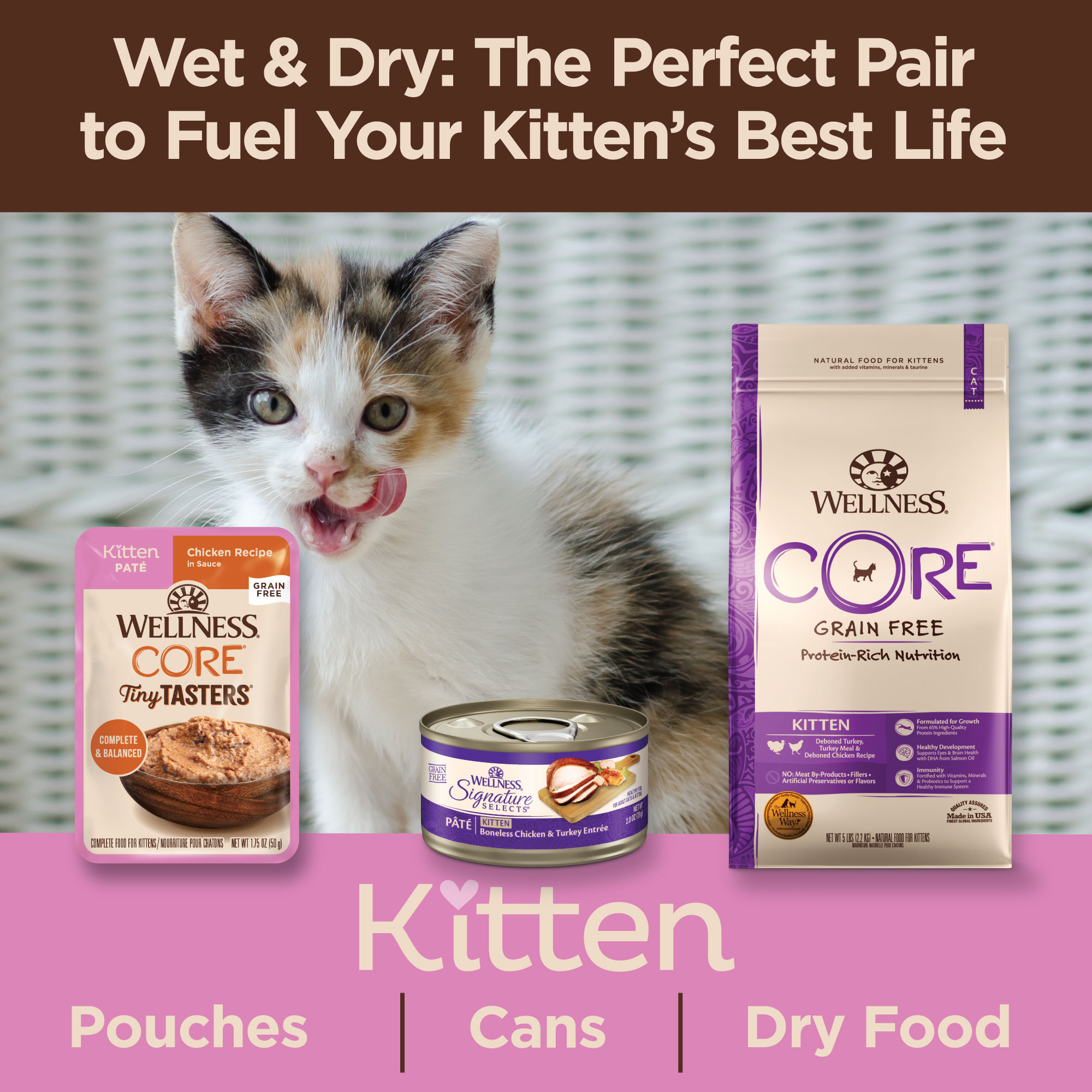Wellness CORE Tiny Tasters for Kittens Chicken Pâté