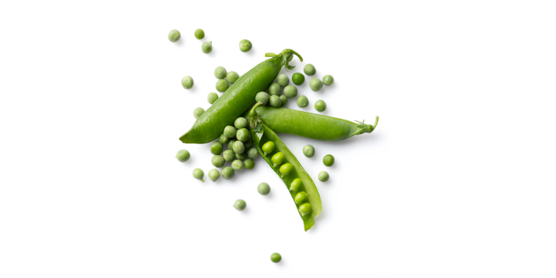 https://wellnesspetfood.com.au/dog-wellness/natural-dog-food/holistic_select/adultpuppyhealth/